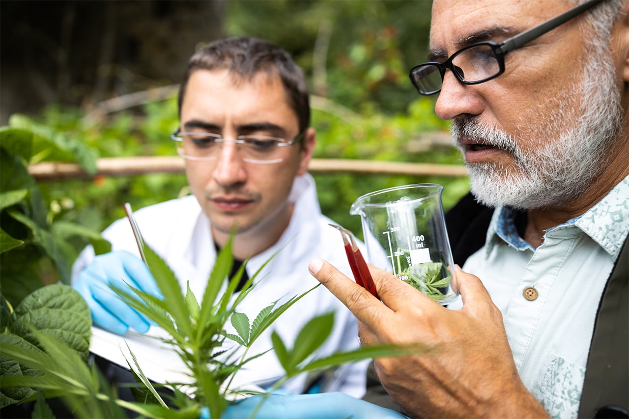 <span>GROW</span> Iberia